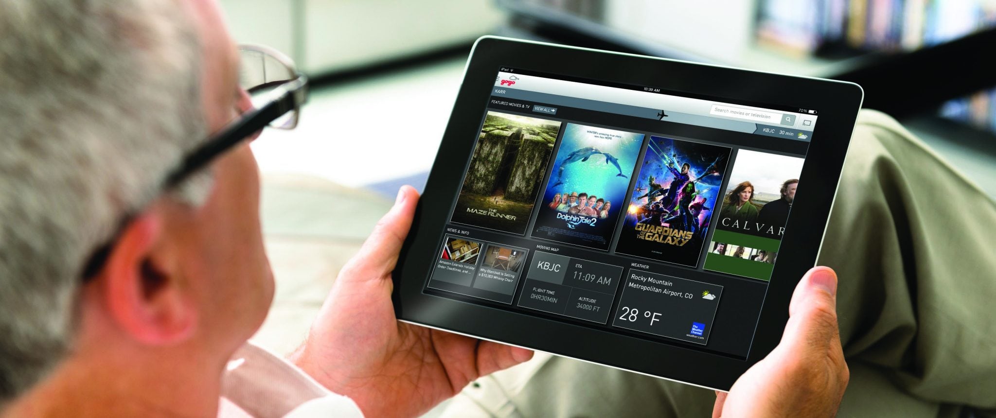 Gogo Vision User