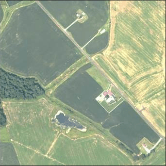 Agricultural photo taken by FalconScan UAS